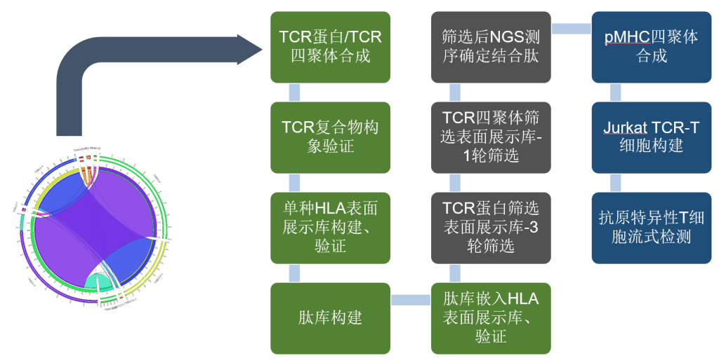 桂芎生物版权所有